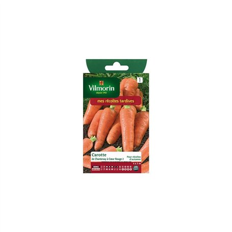 Vilmorin - Sachet graines Carotte de Chantenay à coeur rouge 2