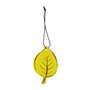 Carlinea 190055 Air Nature Carte Vanille