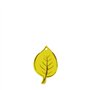 Carlinea 190055 Air Nature Carte Vanille