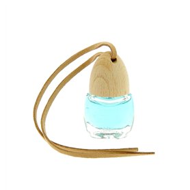 AIR SPA Flacon Parfum Désodorisant Ã€ Base D'Huile Essentielles Zen 190421, Bleu