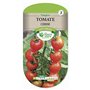 TOMATE Cerise