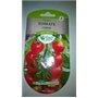 TOMATE Cerise