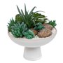 Atmosphera - Composition Plantes Grasses artificielles h20cm Blanc