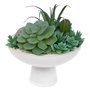 Atmosphera - Composition Plantes Grasses artificielles h20cm Blanc