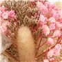 Atmosphera - Composition Boule Fleurs séchées d12cm Pria