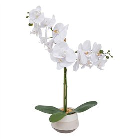 Atmosphera - Orchidée Artificielle clera h52cm Blanc