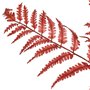 Atmosphera - Tige d Eucalyptus Artificielle James Rouge Rubis h92cm