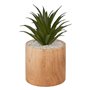 Atmosphera - Plante Artificielle sao Marron h17cm