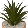 Atmosphera - Plante Artificielle sao Marron h17cm