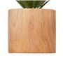 Atmosphera - Plante Artificielle sao Marron h17cm