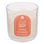 Atmosphera - Bougie parfumée floa ambre 115g