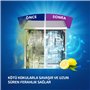 Finish Calgonit - Désodorisant Lave-Vaisselle - Citron - 5 m