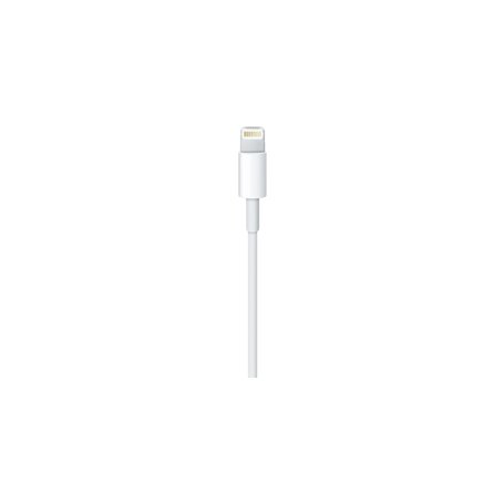 Apple Câble Lightning vers USB (0,5 m)