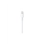 Apple Câble Lightning vers USB (0,5 m)