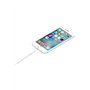 Apple Câble Lightning vers USB (0,5 m)
