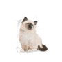 Royal Canin Kitten 4.0 kg