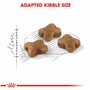 Royal Canin Kitten 4.0 kg
