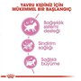 Royal Canin Kitten 4.0 kg