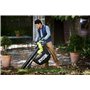 Ryobi - Sac de Rechange 50 L - Universel, Compatible avec Tous Les souffleurs aspiro-broyeurs sur Batterie, filaires et Thermiqu