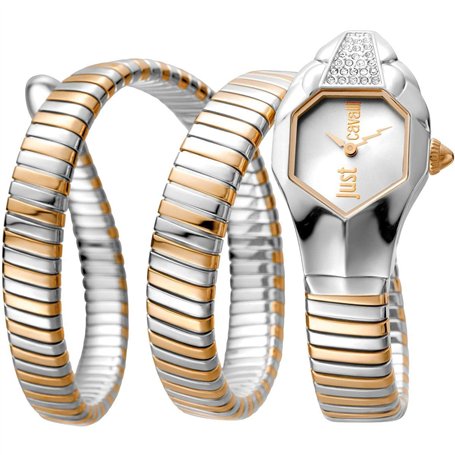 JUST CAVALLI Montre pour femme JC1L022M0075 Colourful STD, Coloré, STD