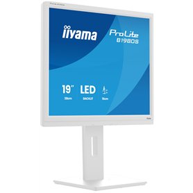 iiyama Moniteur de Bureau, B1980S-W1-19, TN, 1280 x 1024/75 Hz, 1H1DP, Has