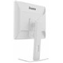 iiyama Moniteur de Bureau, B1980S-W1-19, TN, 1280 x 1024/75 Hz, 1H1DP, Has