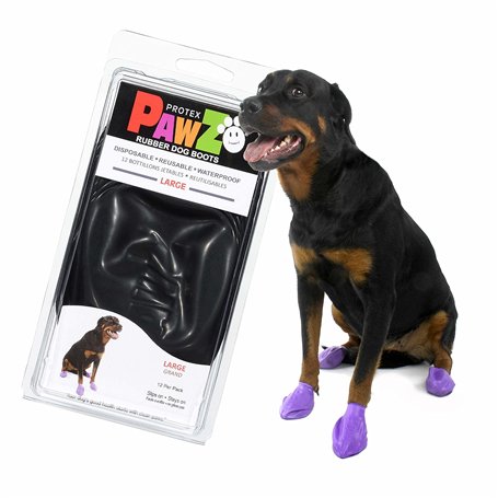 PAWZ Chaussette Noire Protection pour Coussinets de Chien L n°6 Boite de 12