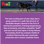 PAWZ Chaussette Noire Protection pour Coussinets de Chien L n°6 Boite de 12