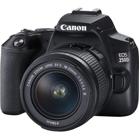 Canon EOS 250D + EF-S 18-55mm f/3.5-5.6 (obsolete ou périmé)