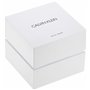 Calvin Klein Horloge K7B231CY