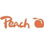 Peach Document Shredder Service Kit (Oil Paper) 12 envelopes