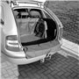Carpoint Protection de Coffre 110x100x40 cm