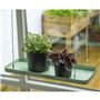 Esschert's Garden Support à Plantes rectangulaire à Suspendre Vert Longueur de 38 cm
