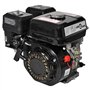 vidaXL Moteur à Essence 6,5 CH 4,8 kW Noir Moteur à Essence Cylindrée 196 cc