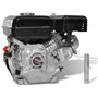 vidaXL Moteur à Essence 6,5 CH 4,8 kW Noir Moteur à Essence Cylindrée 196 cc