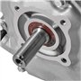 vidaXL Moteur à Essence 6,5 CH 4,8 kW Noir Moteur à Essence Cylindrée 196 cc