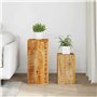 vidaXL Tavolini 2 pz in Legno Massello di Mango