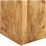 vidaXL Tavolini 2 pz in Legno Massello di Mango