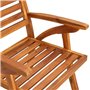 vidaXL Chaises de jardin 2 pièces en bois massif d'acacia