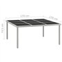 Bussandri Exclusive Table de jardin en verre et acier 170 x 170 x 74,5 cm