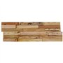 VidaXL Panneaux de revêtement mural 10 pcs 1,03m² Bois de teck recyclé