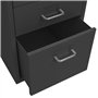Schedario Mobile Antracite 28x41x69 cm in Metallo