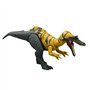 CERATOSUCHOPS SONORE