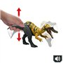 CERATOSUCHOPS SONORE