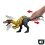 CERATOSUCHOPS SONORE