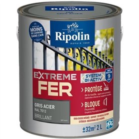 Extreme fer gris acier RAL 7012 brillant - RIPOLIN - 2 L