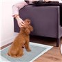 Tapis éducateur Nappy, charbon actif, 60 × 60 cm, 10 Pcs