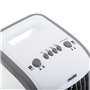 Climatiseur Portable Adler MS 7918 Gris 80 W