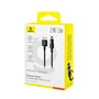 Câble USB vers Lightning Baseus P10373003111-01 Noir 2 m