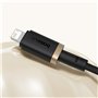 Câble USB vers Lightning Baseus P10377801U01-00 Noir Or 1 m